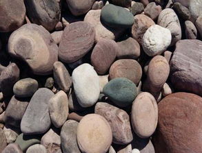 天然河卵石与黑色机制鹅卵石价格解析及市场指南